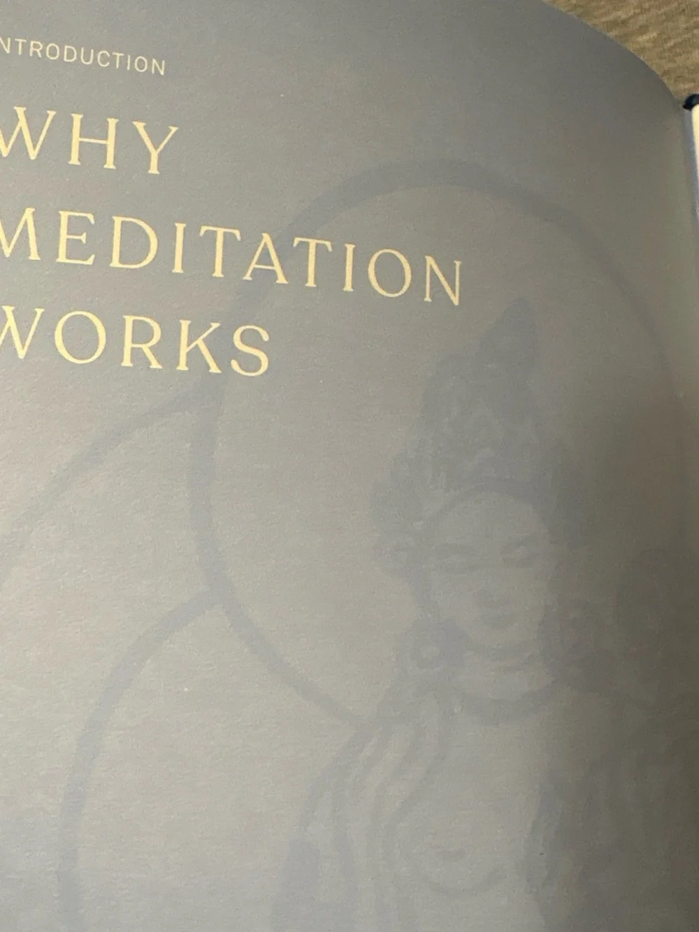 Meditation Journal